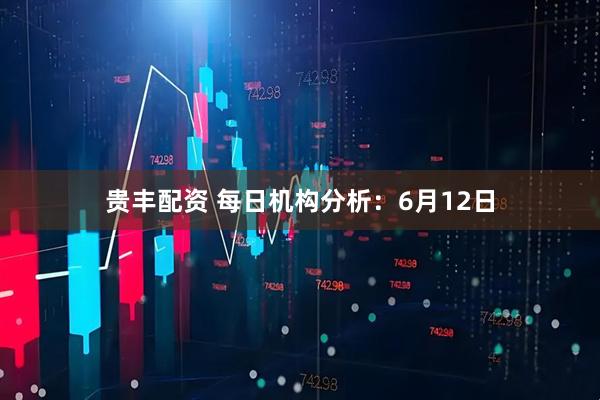 贵丰配资 每日机构分析：6月12日