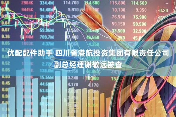 优配配件助手 四川省港航投资集团有限责任公司副总经理谢敬远被查