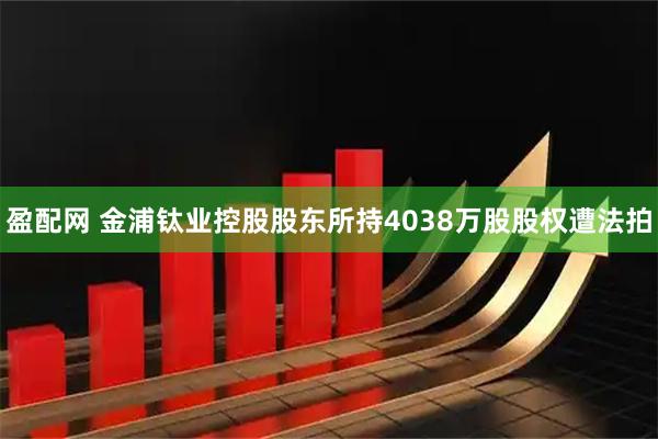 盈配网 金浦钛业控股股东所持4038万股股权遭法拍