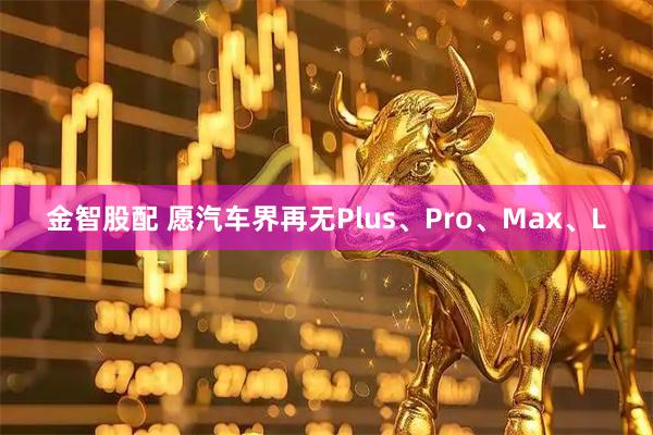 金智股配 愿汽车界再无Plus、Pro、Max、L