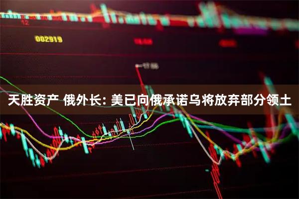 天胜资产 俄外长: 美已向俄承诺乌将放弃部分领土
