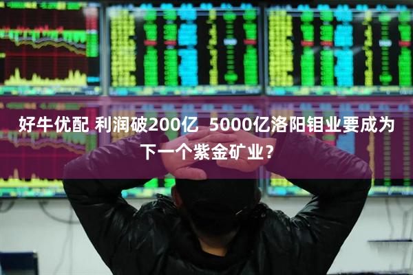 好牛优配 利润破200亿  5000亿洛阳钼业要成为下一个紫金矿业？