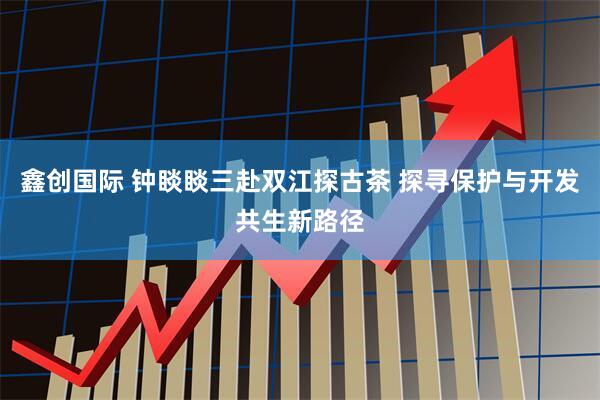 鑫创国际 钟睒睒三赴双江探古茶 探寻保护与开发共生新路径