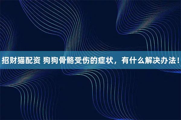 招财猫配资 狗狗骨骼受伤的症状，有什么解决办法！