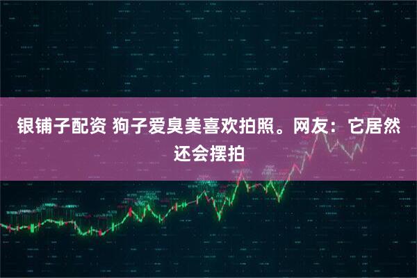 银铺子配资 狗子爱臭美喜欢拍照。网友：它居然还会摆拍
