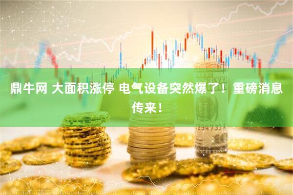 鼎牛网 大面积涨停 电气设备突然爆了！重磅消息传来！