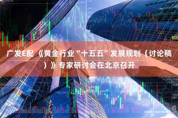 广发E配 《黄金行业“十五五”发展规划（讨论稿）》专家研讨会在北京召开